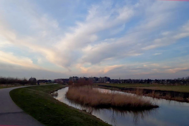 Barendrechtse Zuidpolder. Foto van Gertie.